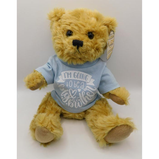 'I'm going to be a Big brother' teddy bear/ sibling gifts/ new baby/ adoption