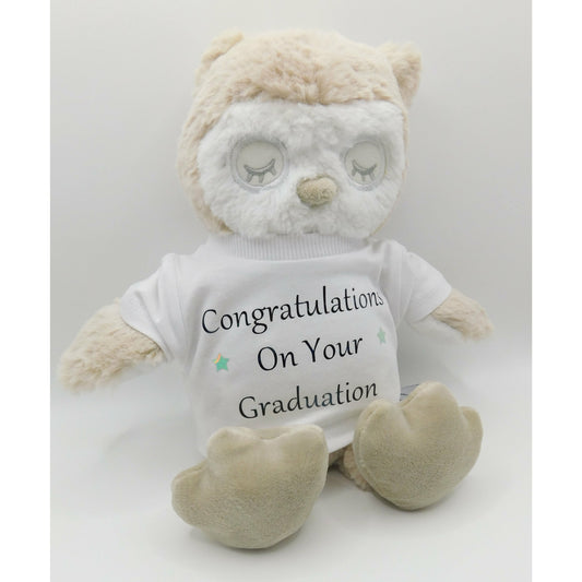 Graduation teddy bear/ gifts/ Graduate/ Celebrate/ optional personalisation